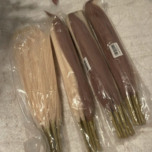 Pampas grass new no box. - Picture 2 of 2